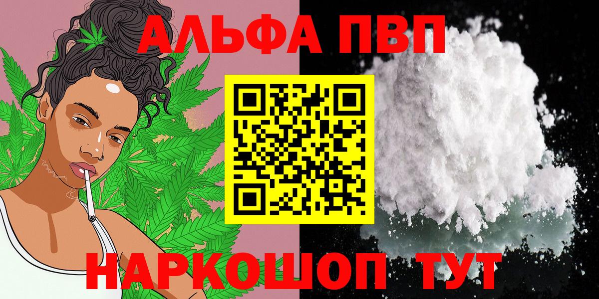 Alfa_PVP СК Моршанск