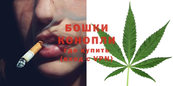 прущая мука Вяземский