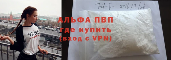 прущая мука Вяземский