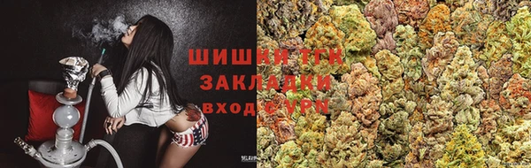 прущая мука Вяземский