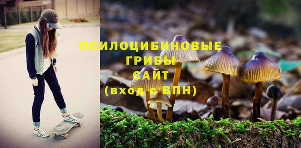 прущие крисы Вязники