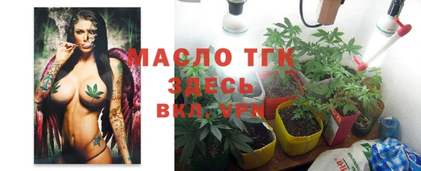 прущая мука Вяземский