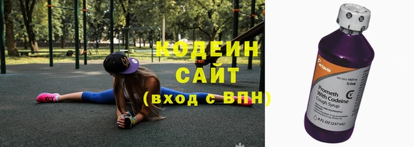 прущая мука Вяземский