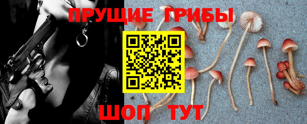 Псилоцибиновые грибы мухоморы  Вход с VPN  Моршанск  Псилоцибиновые грибы ЛСД 
